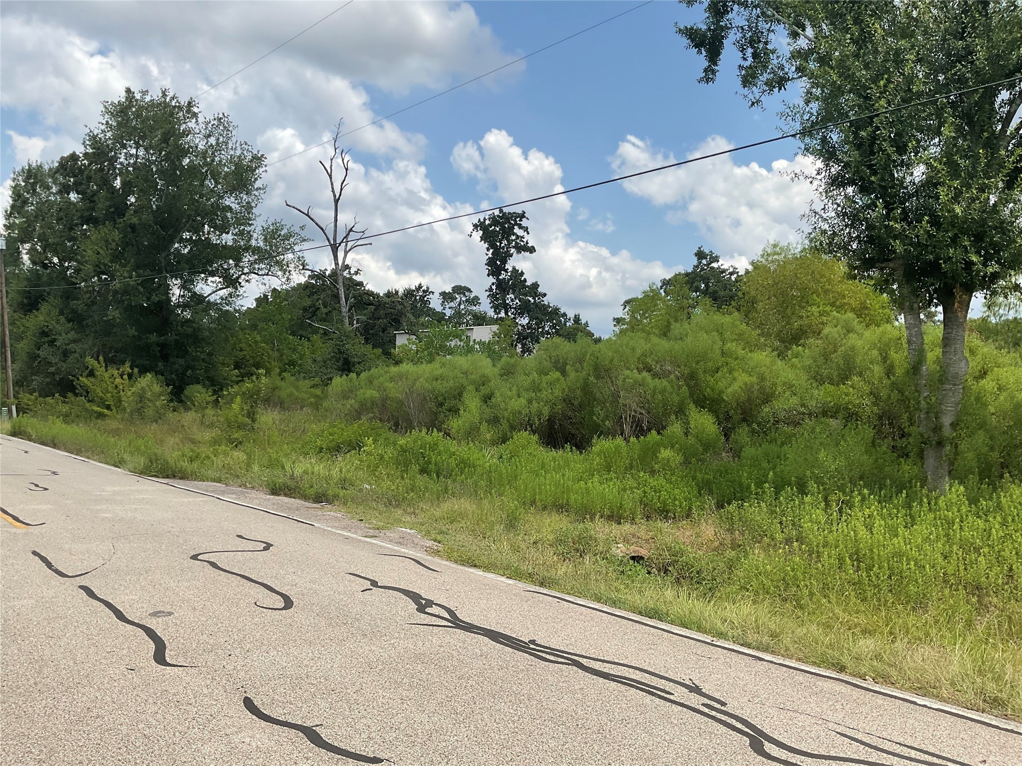 18318 Mossforest Drive Houston, TX 77090 - Photo 7 of 11 a backyard of a house with a yard and trampoline