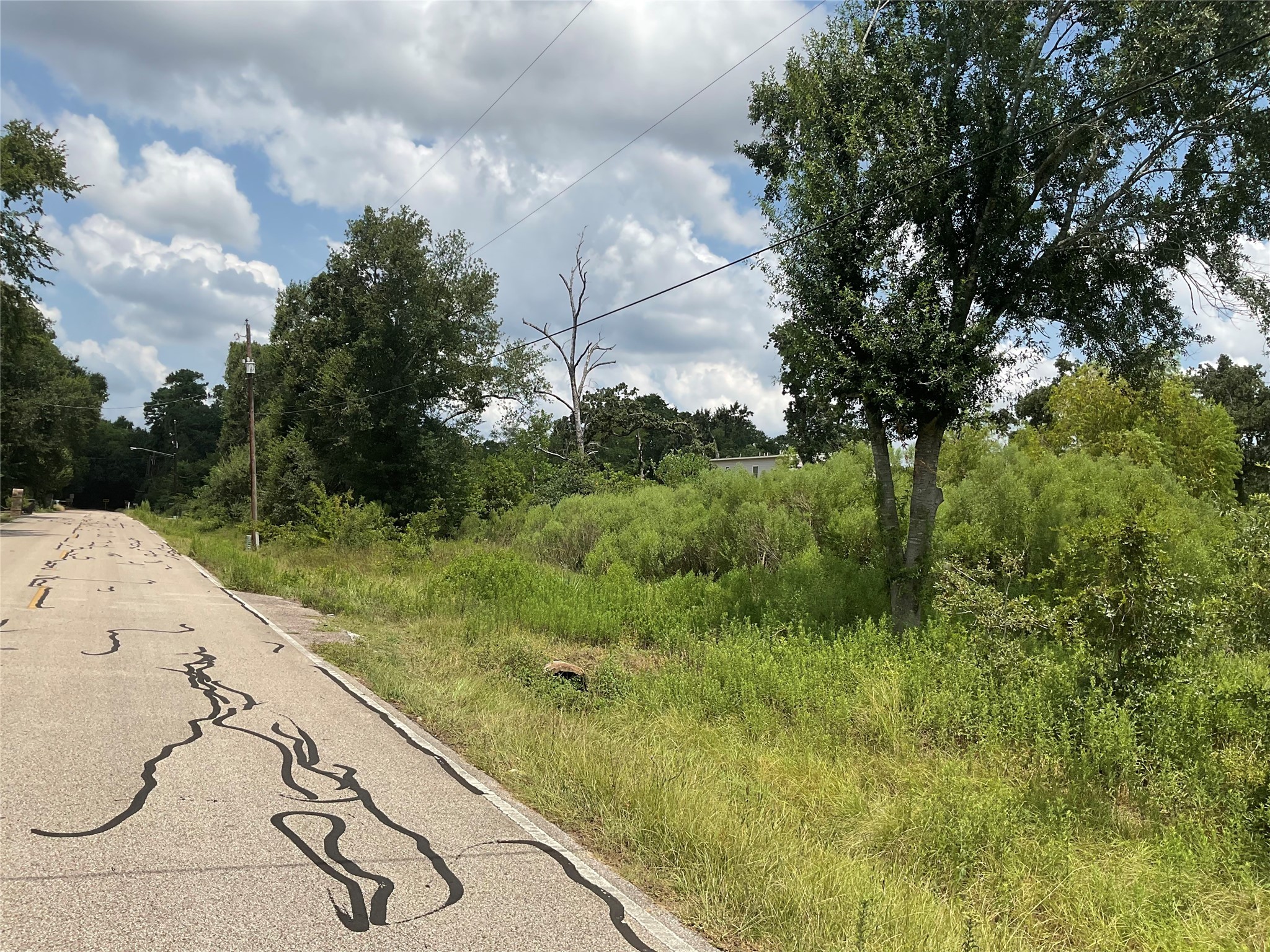 18318 Mossforest Drive Houston, TX 77090 - Photo 8 of 11 a view of a yard with an trees