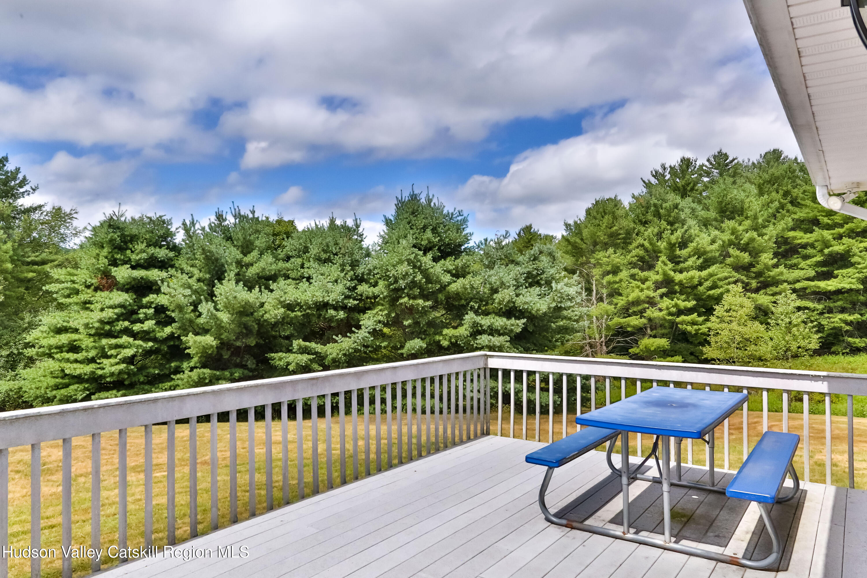 24 Case Road Windham, NY 12496 - Photo 43 of 46 Z09A2774-Edt