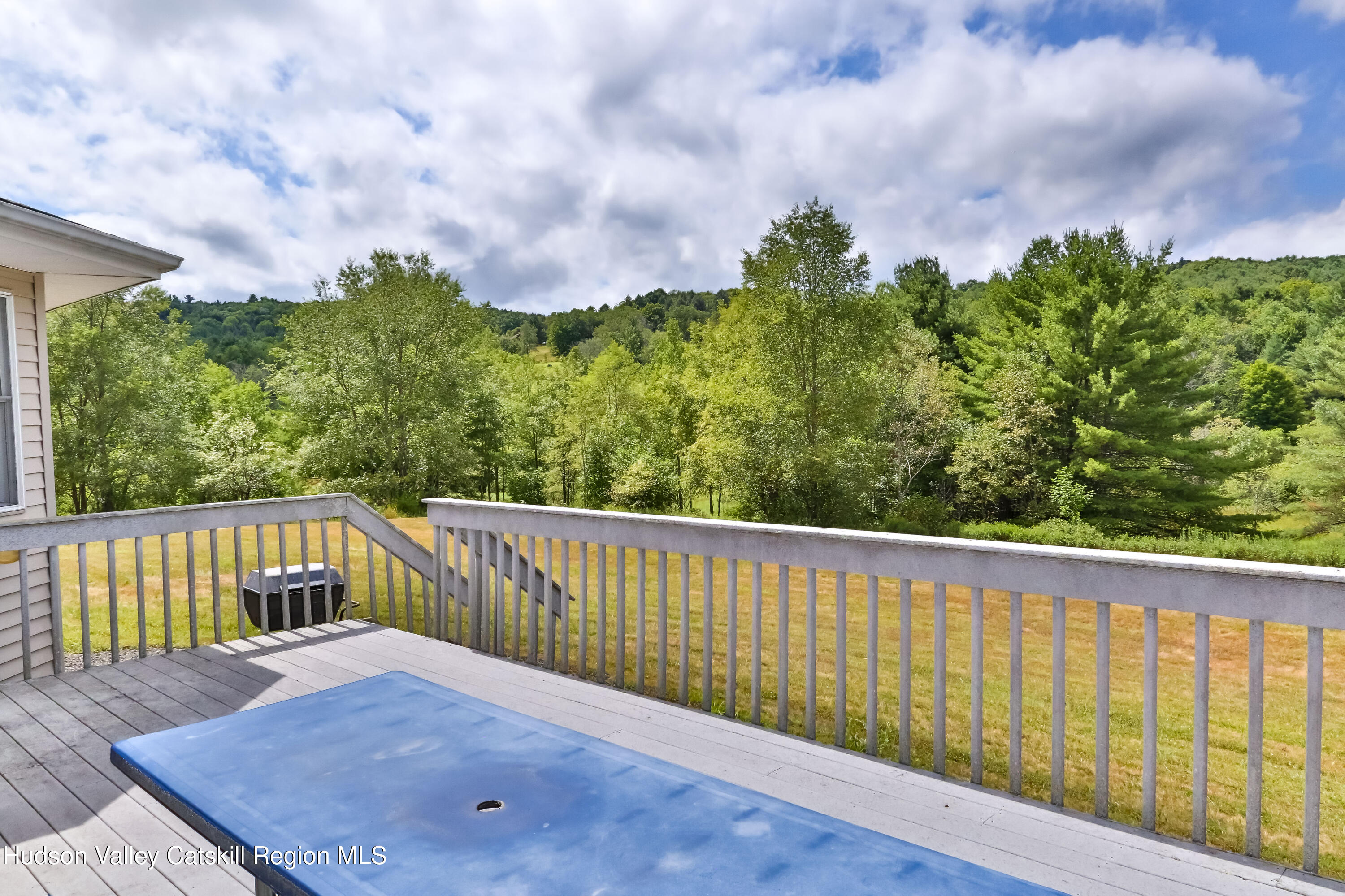 24 Case Road Windham, NY 12496 - Photo 44 of 46 Z09A2778-Edt