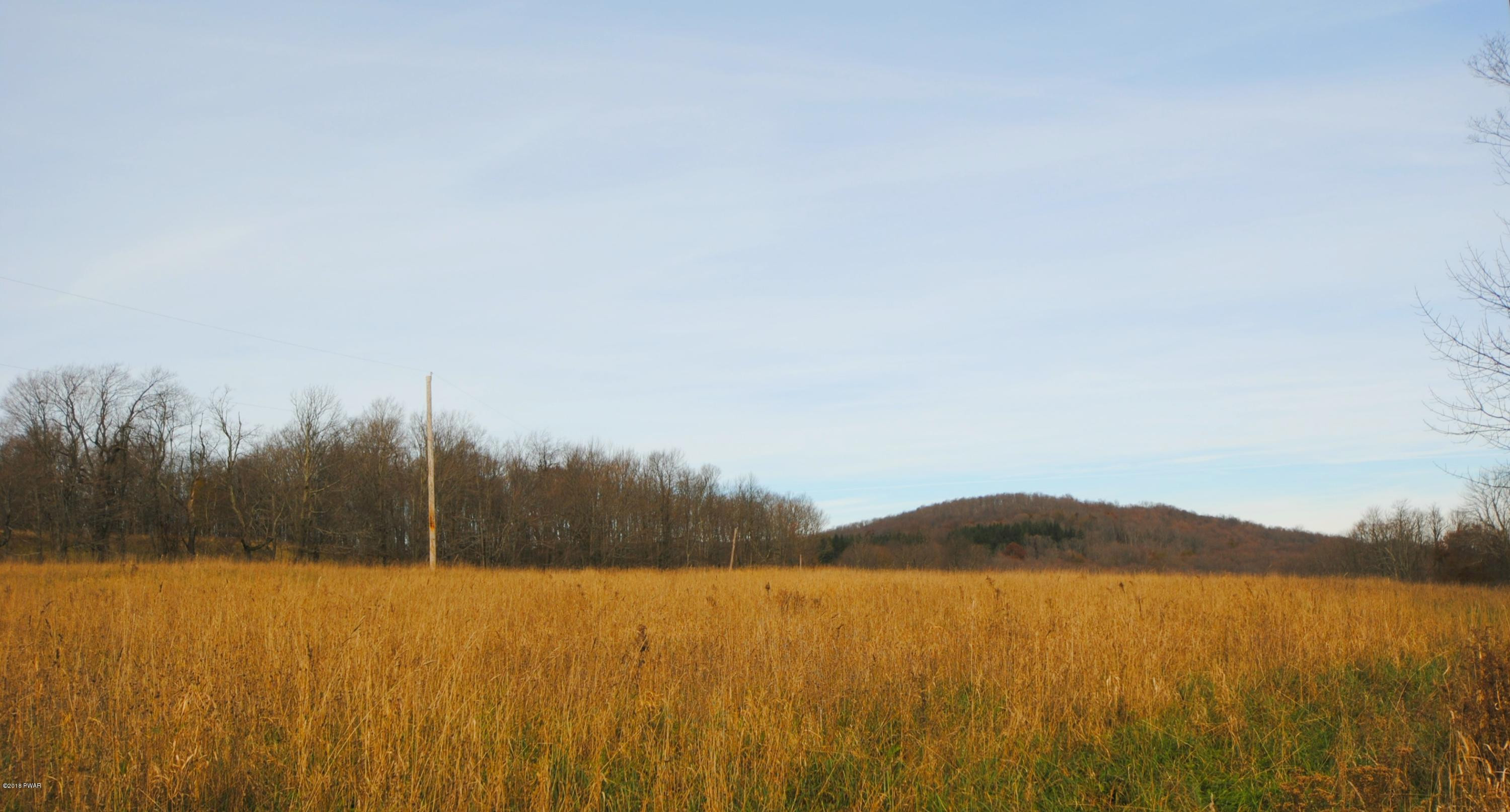 Lot D Lot D North Road Pleasant Mount, PA 18453 - Photo 8 of 9