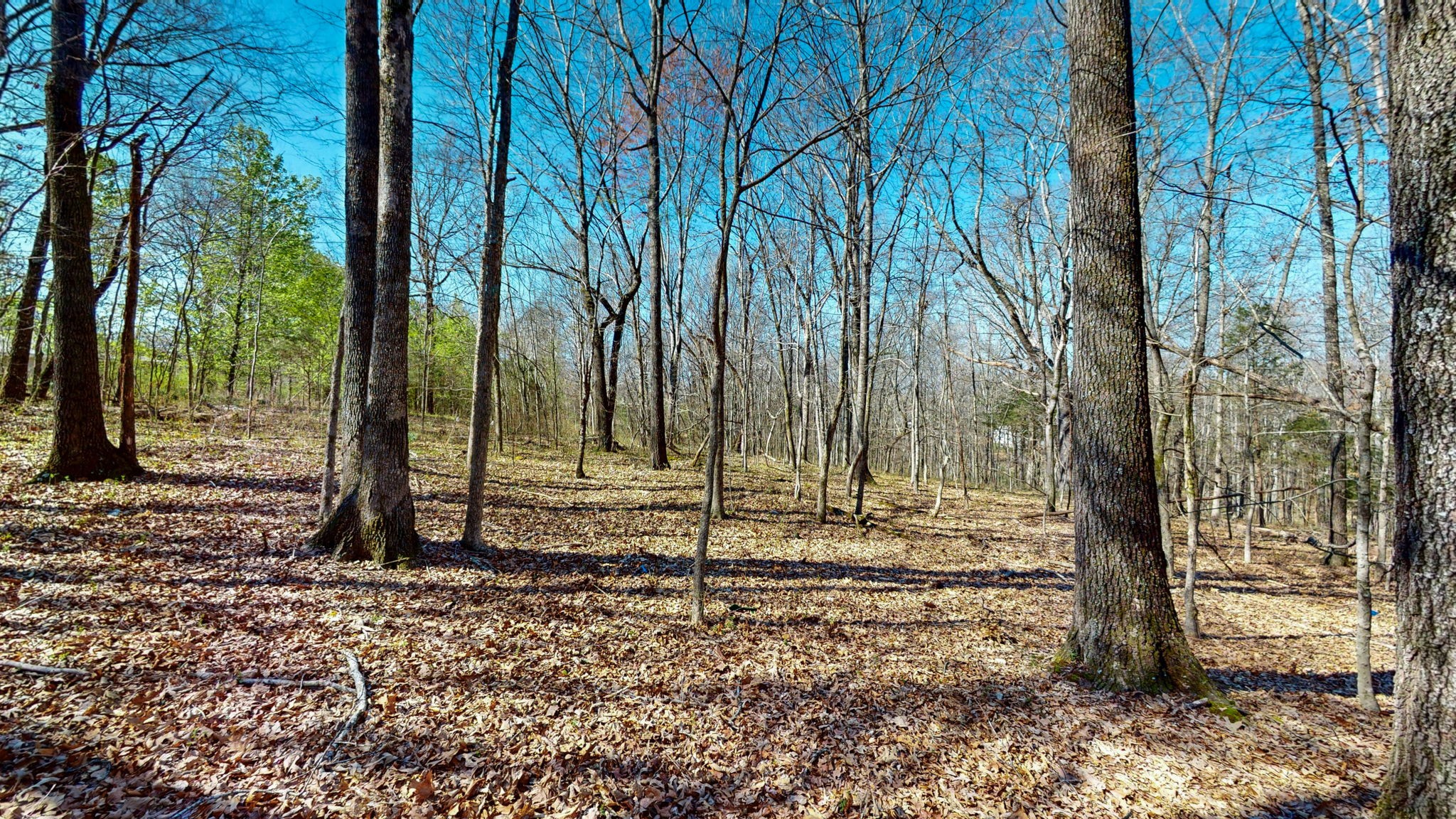 1461 Southside Road Southside, TN 37171 - Photo 13 of 28 a view of a backyard