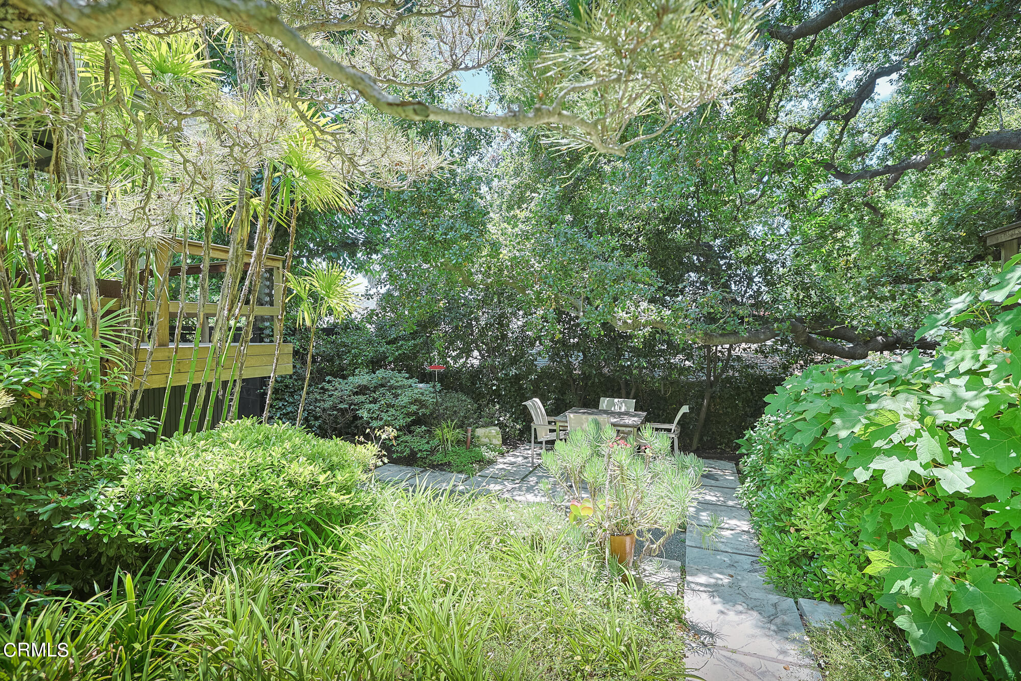 603 Arbor Street Pasadena, CA 91105 - Photo 23 of 26 a view of backyard with plants and garden