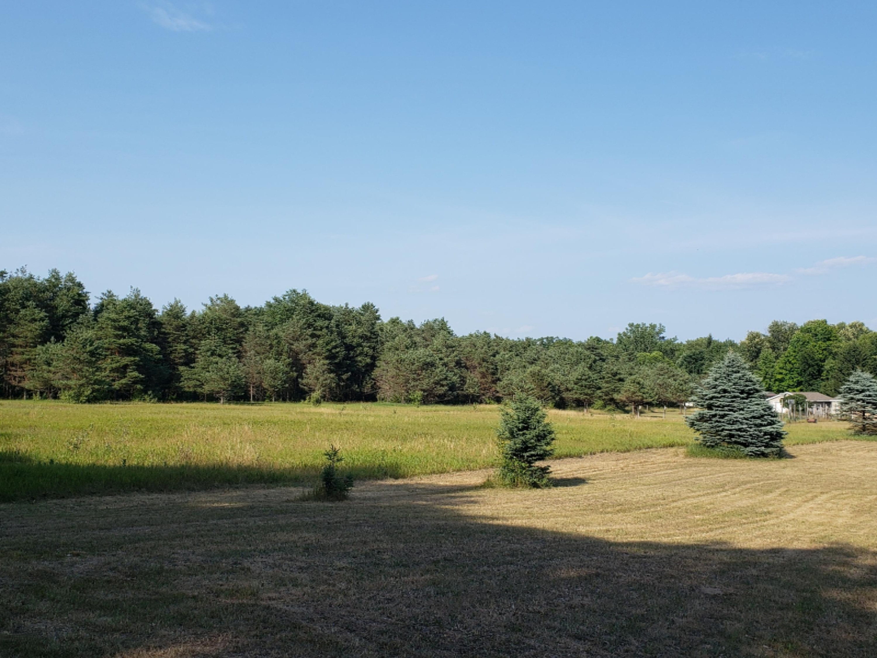 7393 South Porter Road Branch, MI 49402 - Photo 7 of 9 20180711_180058