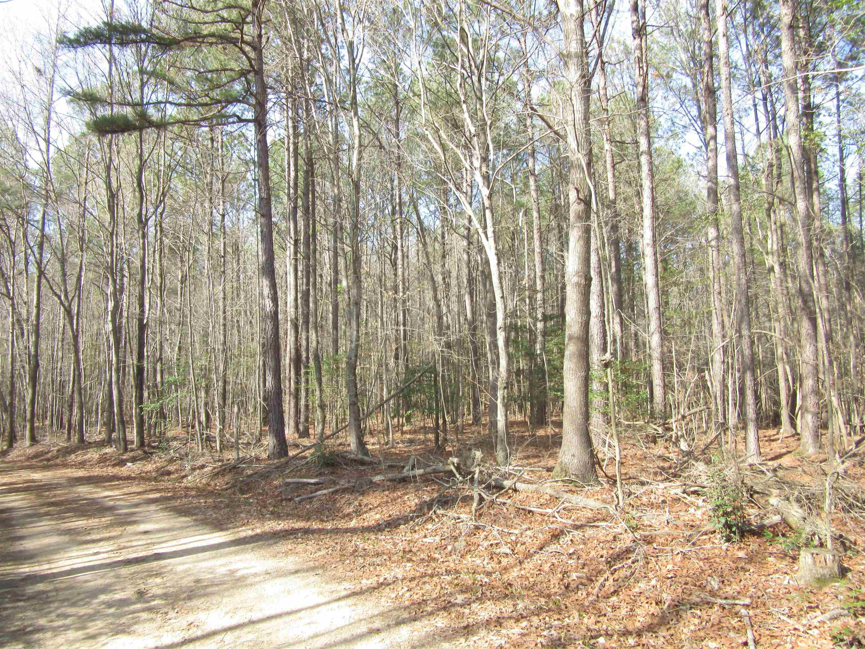 3 A Driver Road Middlesex, NC 27557 - Photo 3 of 6 Photo 3