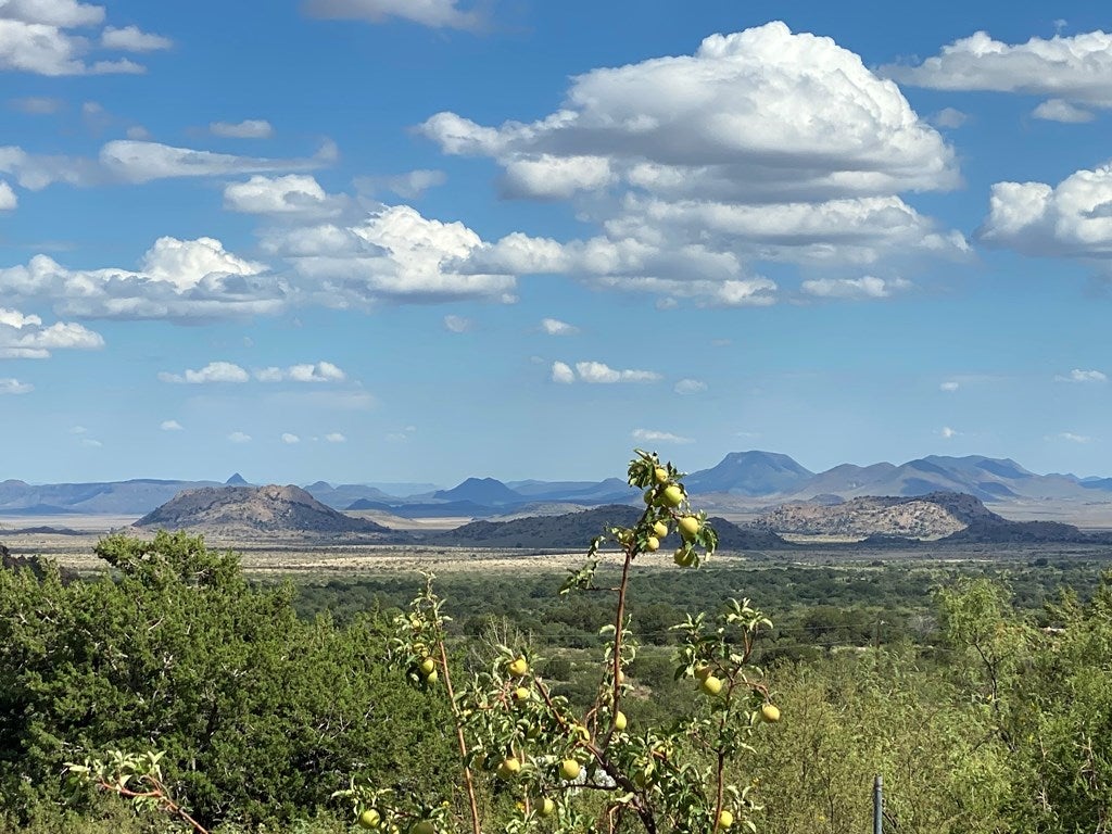 100 North Canyon Road Fort Davis, TX 79734 - Photo 23 of 24 Gallery Image 23