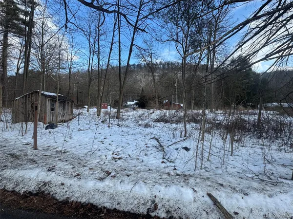 $42,500 | 6-8 Grove Street, Godeffroy, NY 12729