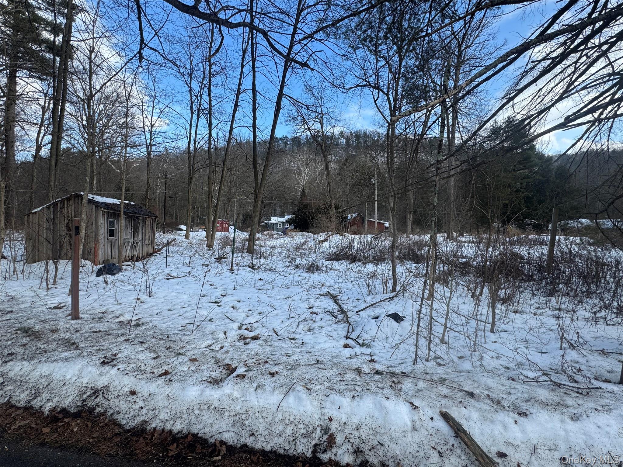 6-8 Grove Street Godeffroy, NY 12729 - Photo 1 of 1