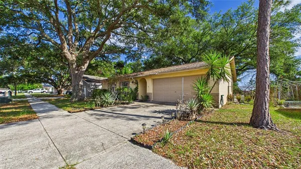 a view of a backyard with large trees