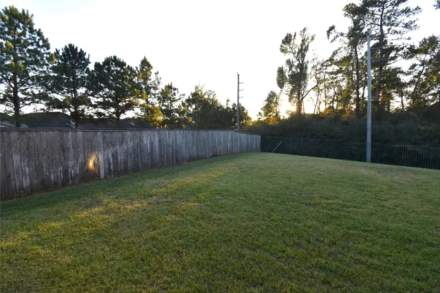 a view of a backyard