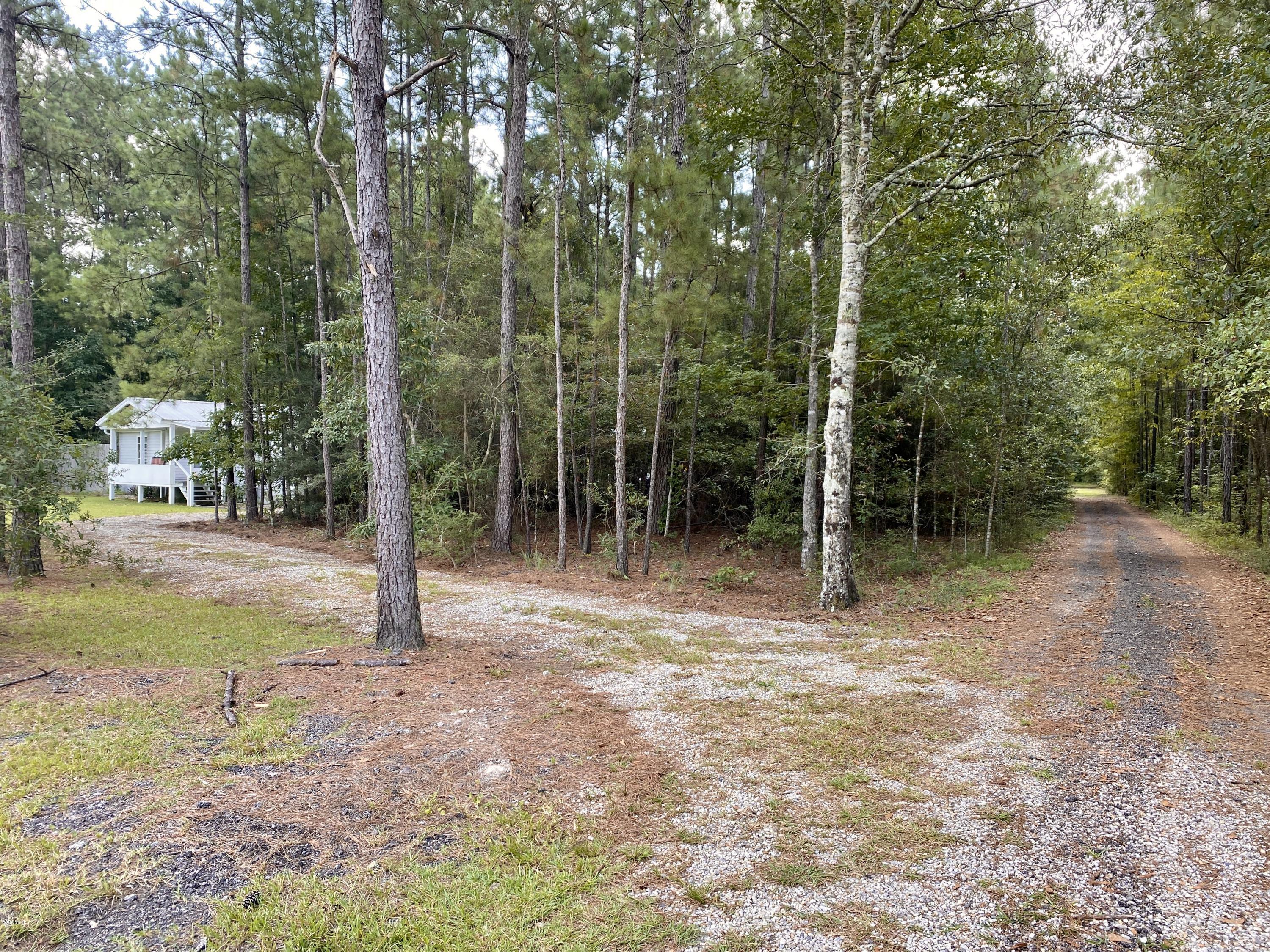 34 Homer Spiers Road Picayune, MS 39466 - Photo 14 of 33 IMG_7370