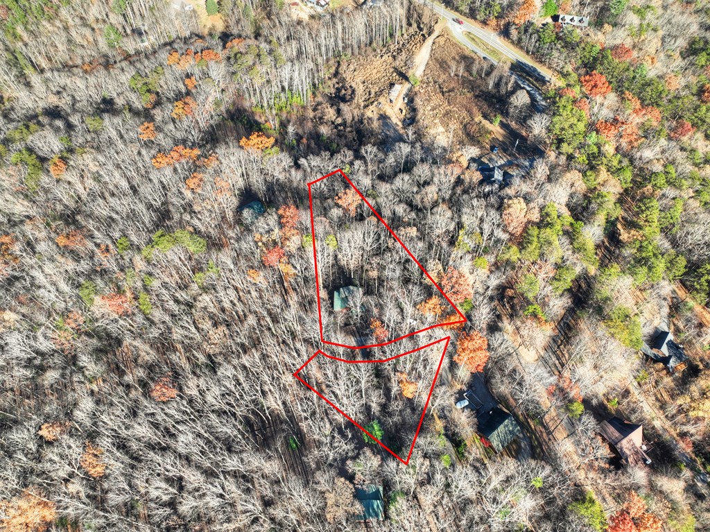 22 Running Bear Ridge Blue Ridge, GA 30513 - Photo 10 of 60 Lines of the property - additional space across th