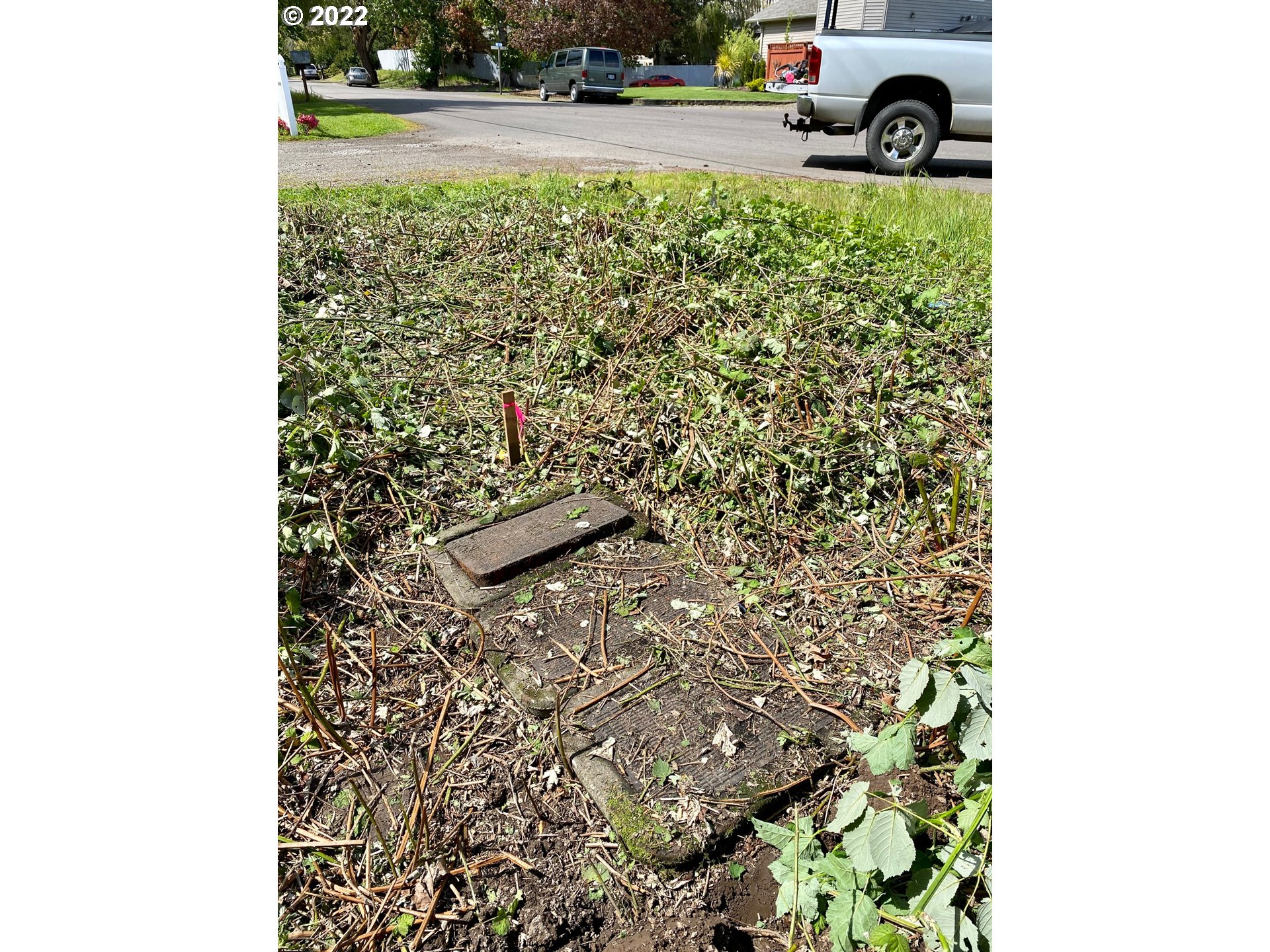 0 Claxter Road Northeast, Unit 3 Salem, OR 97303 - Photo 6 of 12 a view of a yard with yellow plants