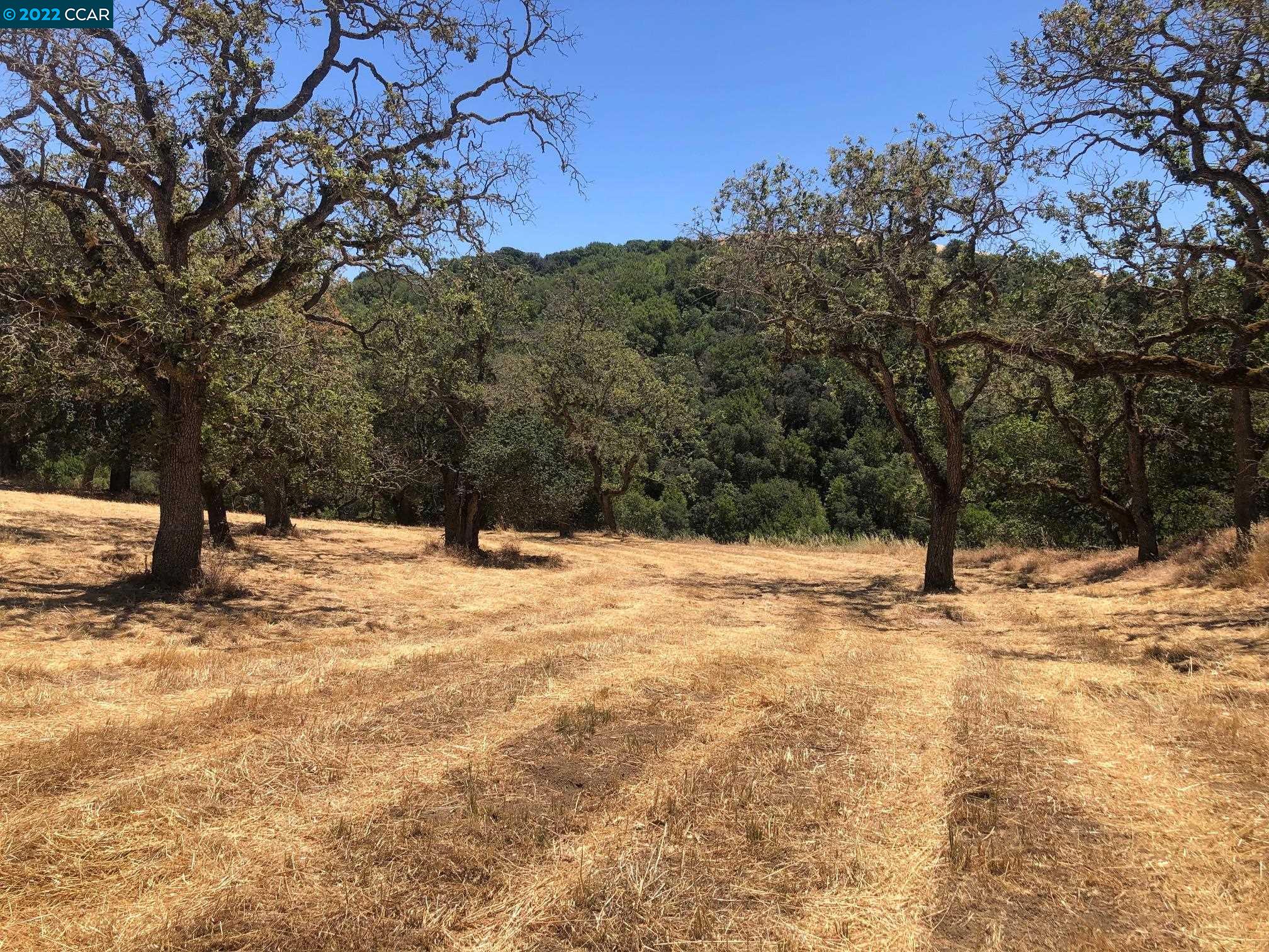 5433 Alhambra Valley Road Martinez, CA 94553 - Photo 57 of 59