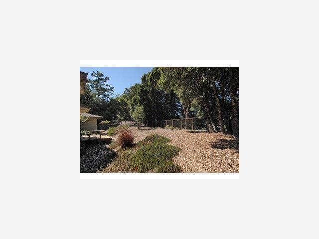 3505 Fern Flat Road Aptos, CA 95003 - Photo 8 of 9 Gallery Image 8