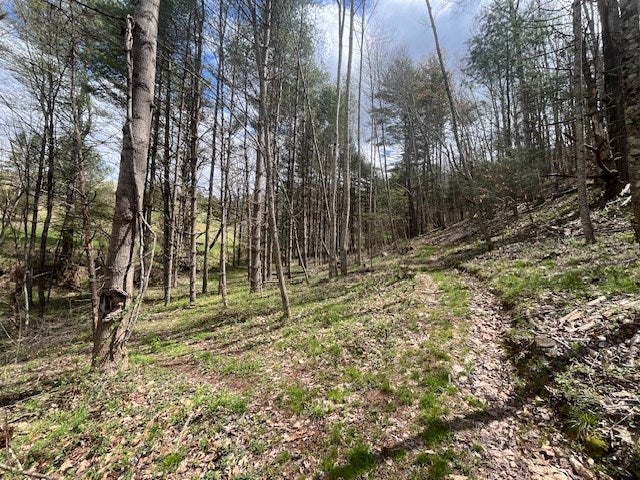 15.01-ac Pine Run Road, Unit 115110A Draper, VA 24324 - Photo 23 of 57 Gallery Image 23