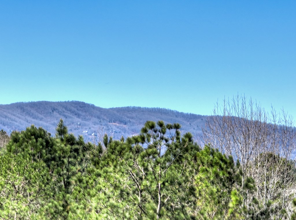 229 A Crossroads Church Road Ellijay, GA 30540 - Photo 11 of 71