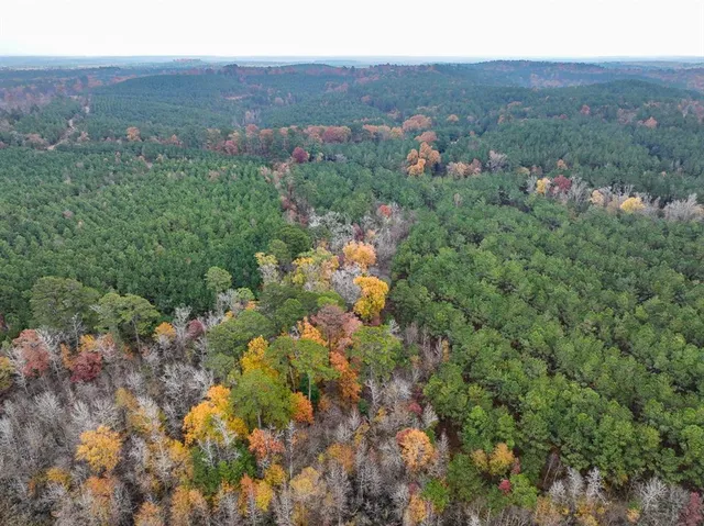an aerial view of a houses with a lush green hillside