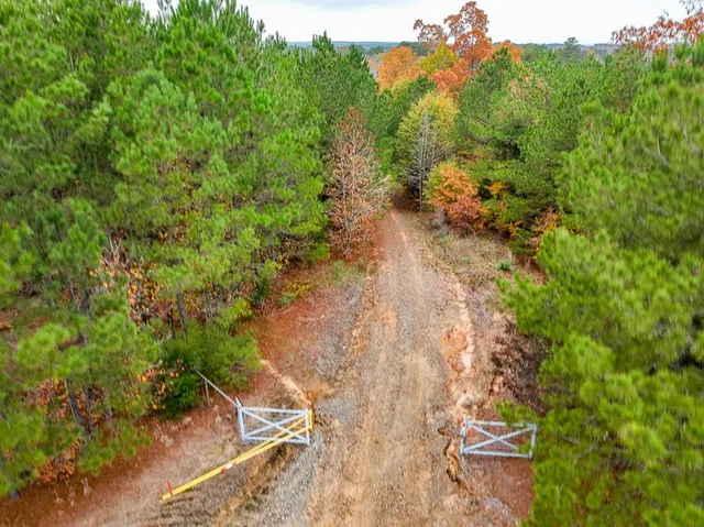 a view of a yard with a tree