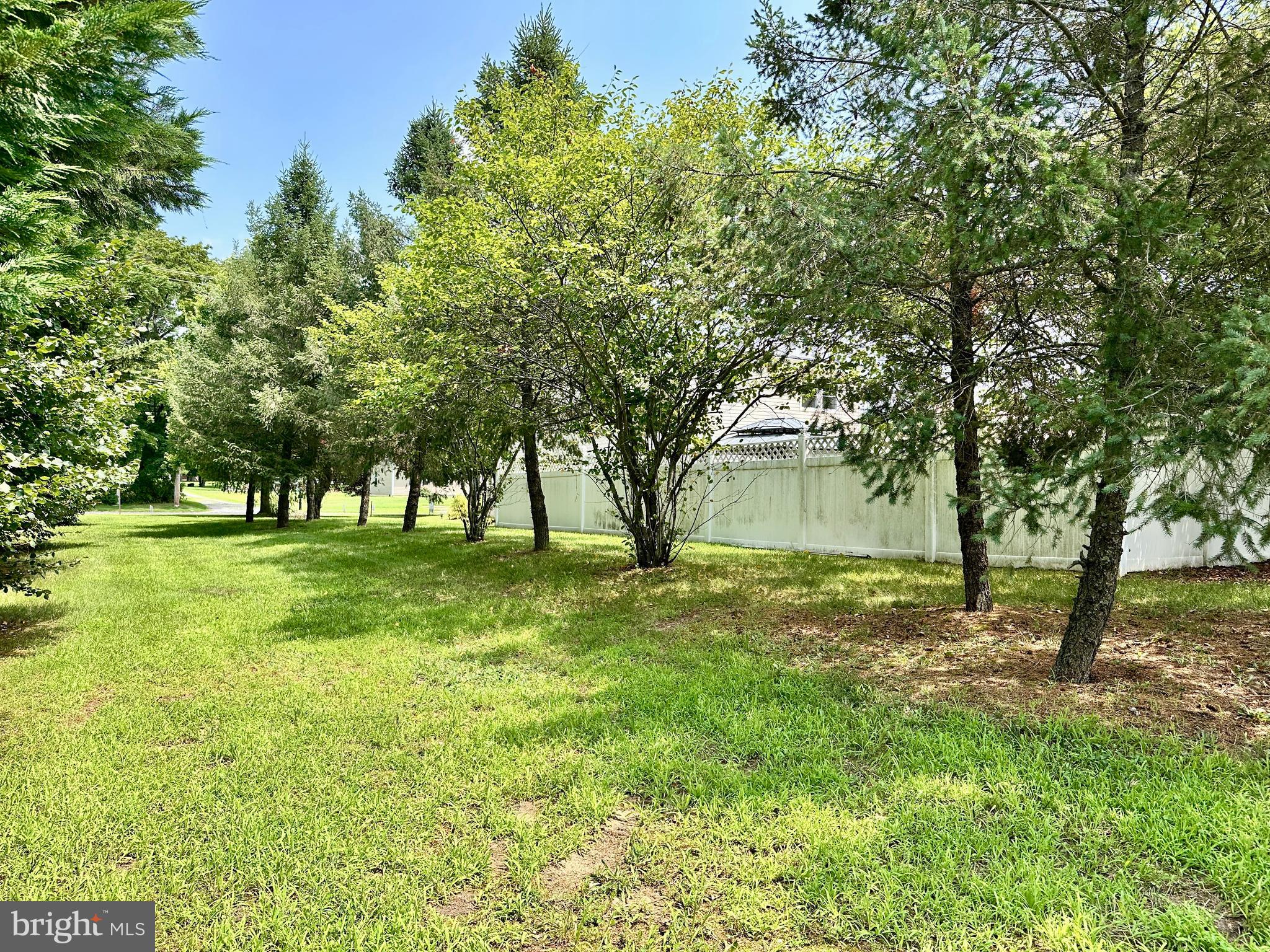 1090 Chews Landing Road Laurel Springs, NJ 08021 - Photo 36 of 45 Large side yard
