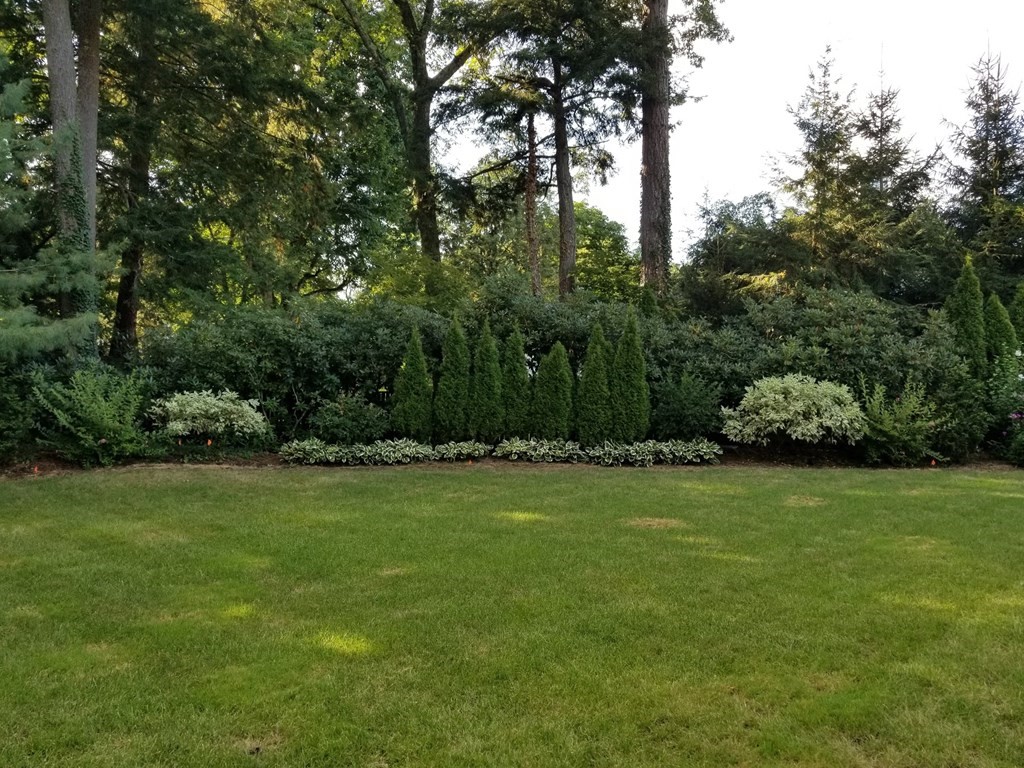 4 Woodcliff Road Wellesley, MA 02481 - Photo 34 of 37