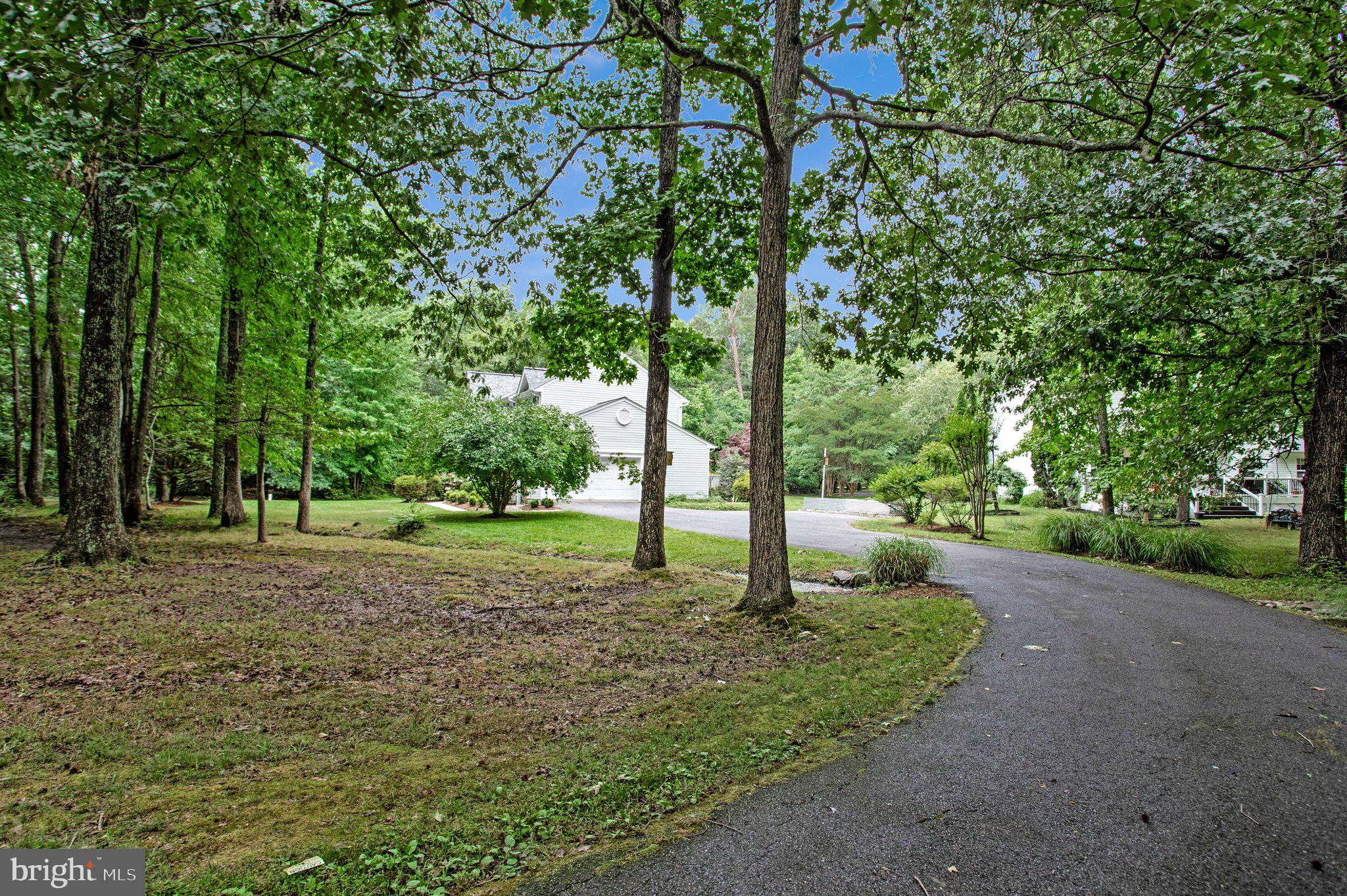 1582 Snug Harbor Road Shady Side, MD 20764 - Photo 52 of 53 Serene driveway through lush greenery.