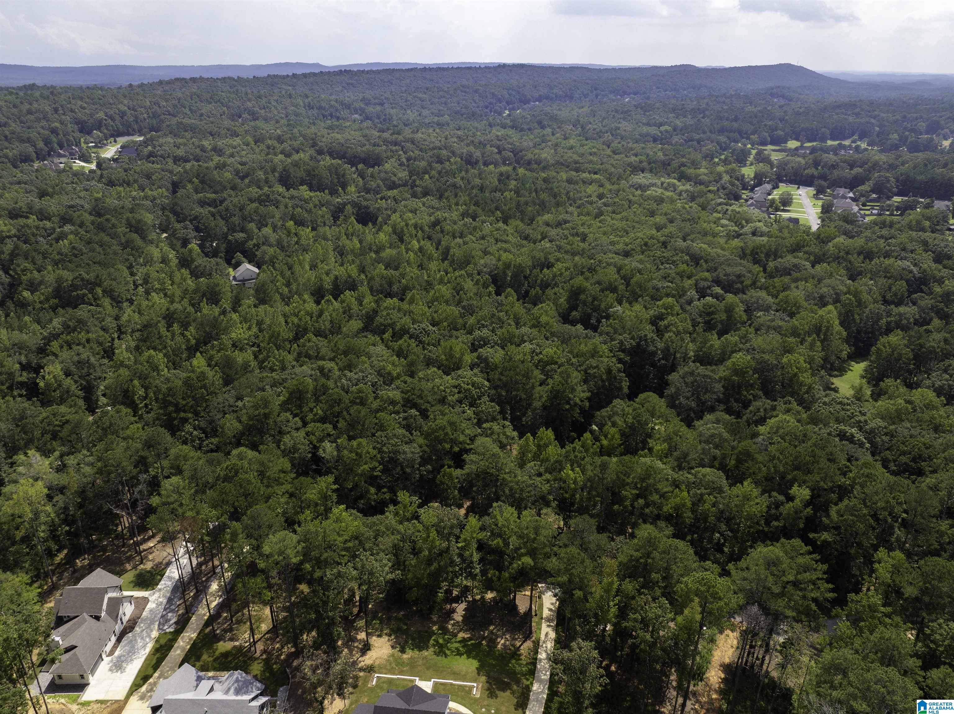 92 Hodgens Road Chelsea, AL 35043 - Photo 28 of 41