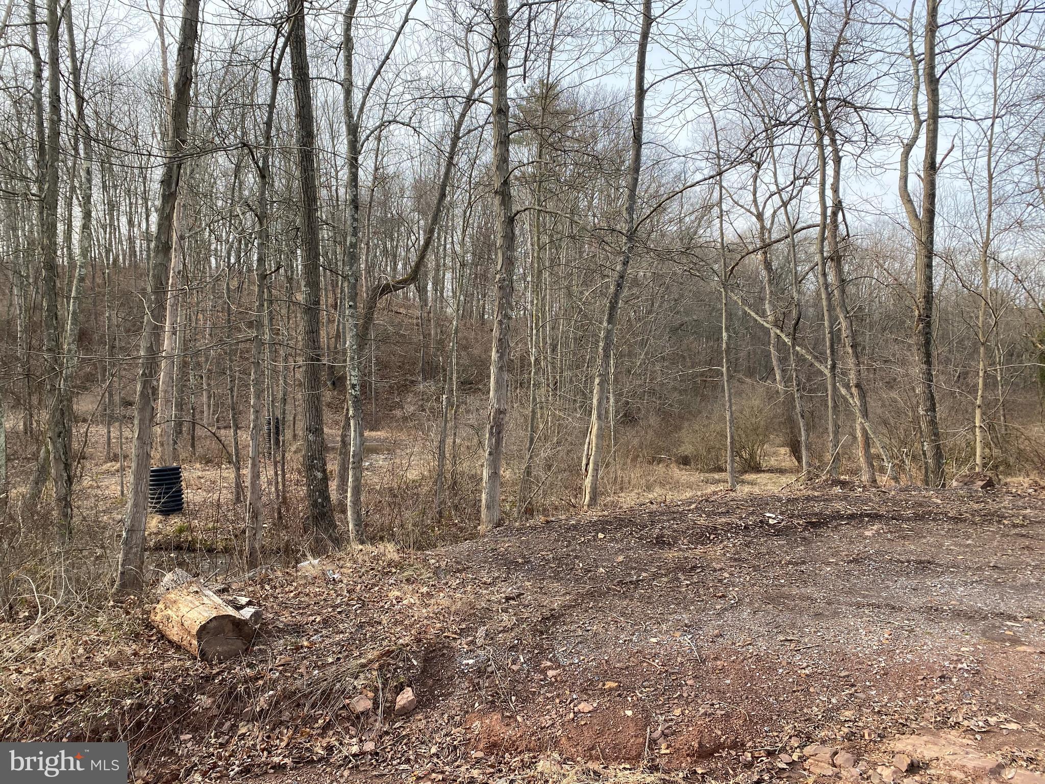 83 Old State Road Shermans Dale, PA 17090 - Photo 4 of 8 Gallery Image 4
