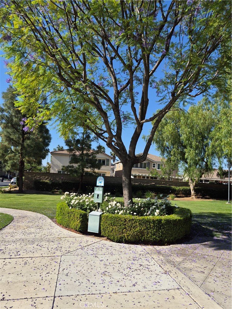 1785 Catania Drive Riverside, CA 92507 - Photo 40 of 47 Park Areas in Community.
