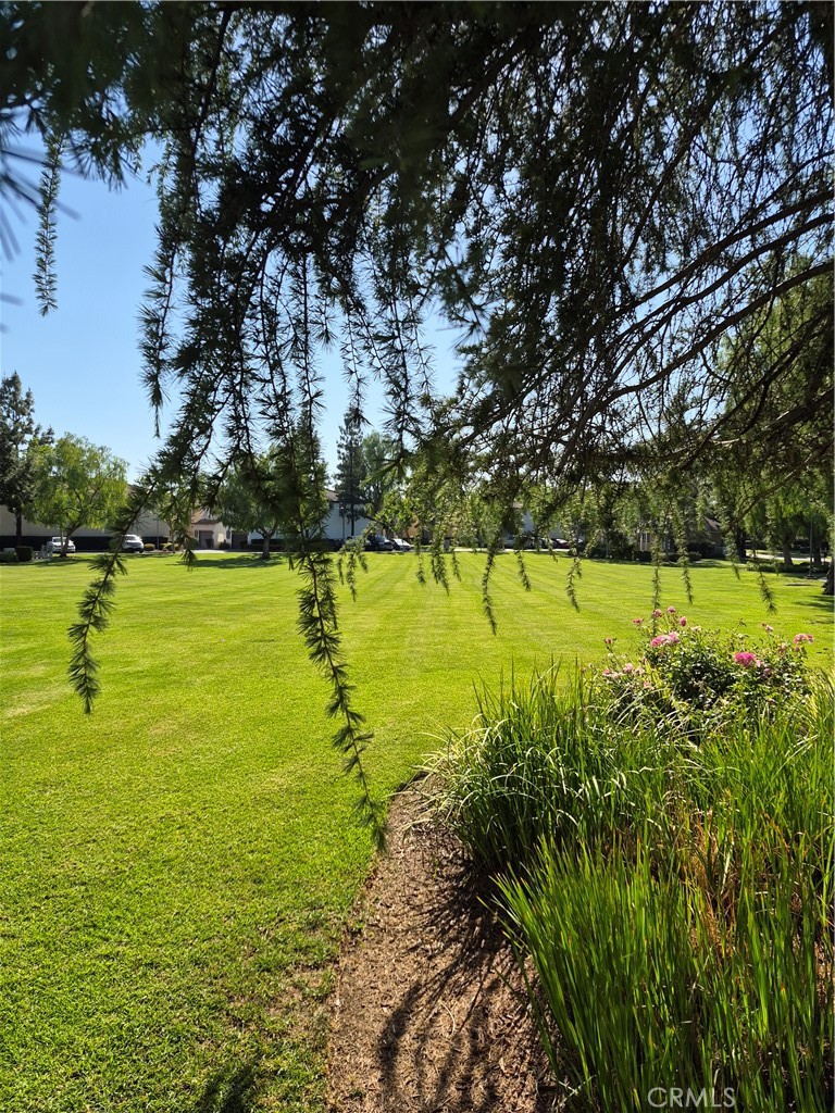 1785 Catania Drive Riverside, CA 92507 - Photo 41 of 47 Park Areas in Community.