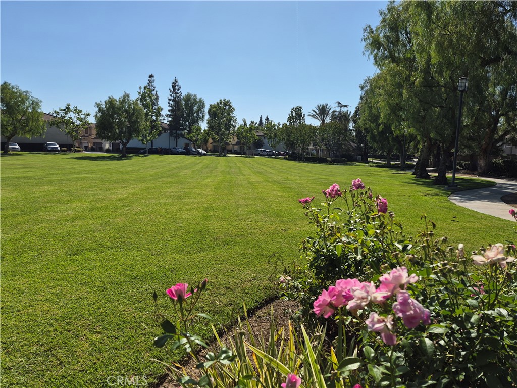 1785 Catania Drive Riverside, CA 92507 - Photo 42 of 47 Park Areas in Community.