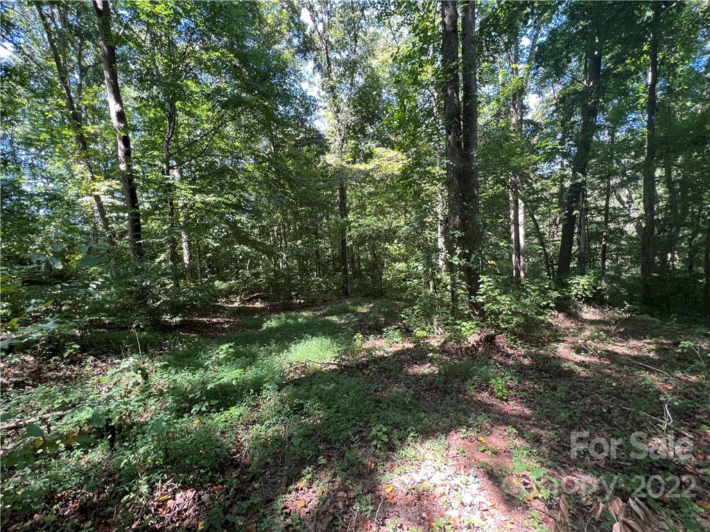 9001 Bethel Church Road, Unit 5 Midland, NC 28107 - Photo 2 of 4 Gallery Image 2