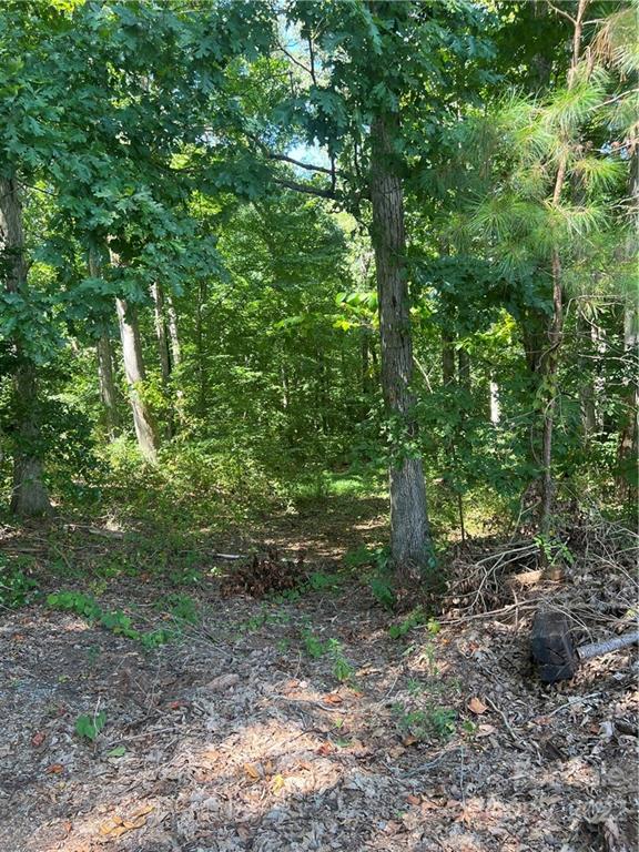 9001 Bethel Church Road, Unit 5 Midland, NC 28107 - Photo 4 of 4 Gallery Image 4