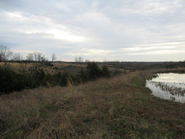 1234 Hyatt Road Lawrenceburg, KY 40342 - Photo 19 of 29 Photo 19