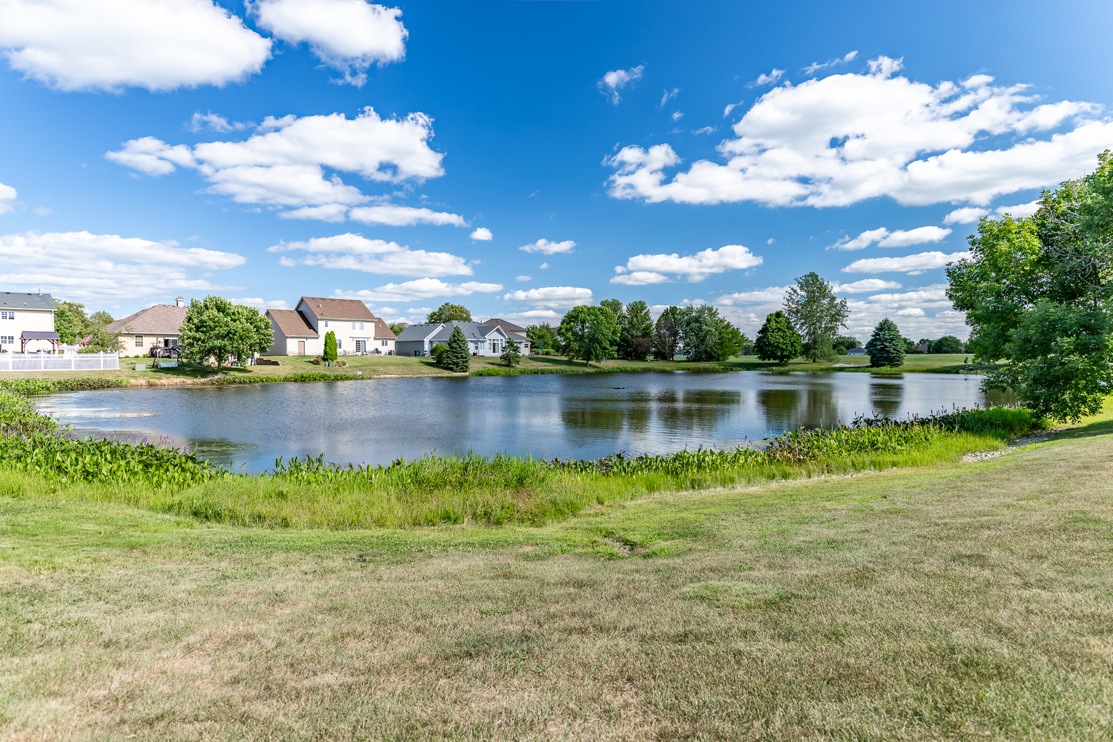 294 Maple Street Beecher, IL 60401 - Photo 66 of 75 Gallery Image 66