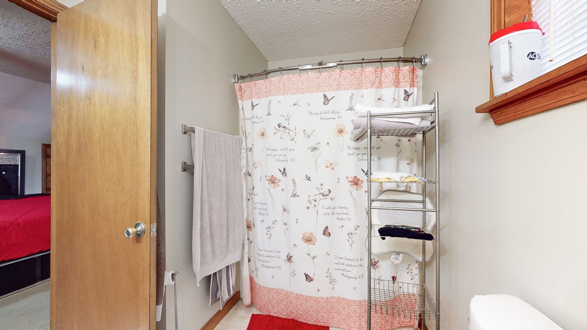 2459 Toler Road Woodlawn, TN 37191 - Photo 23 of 48 a bathroom with a shower curtain and a sink