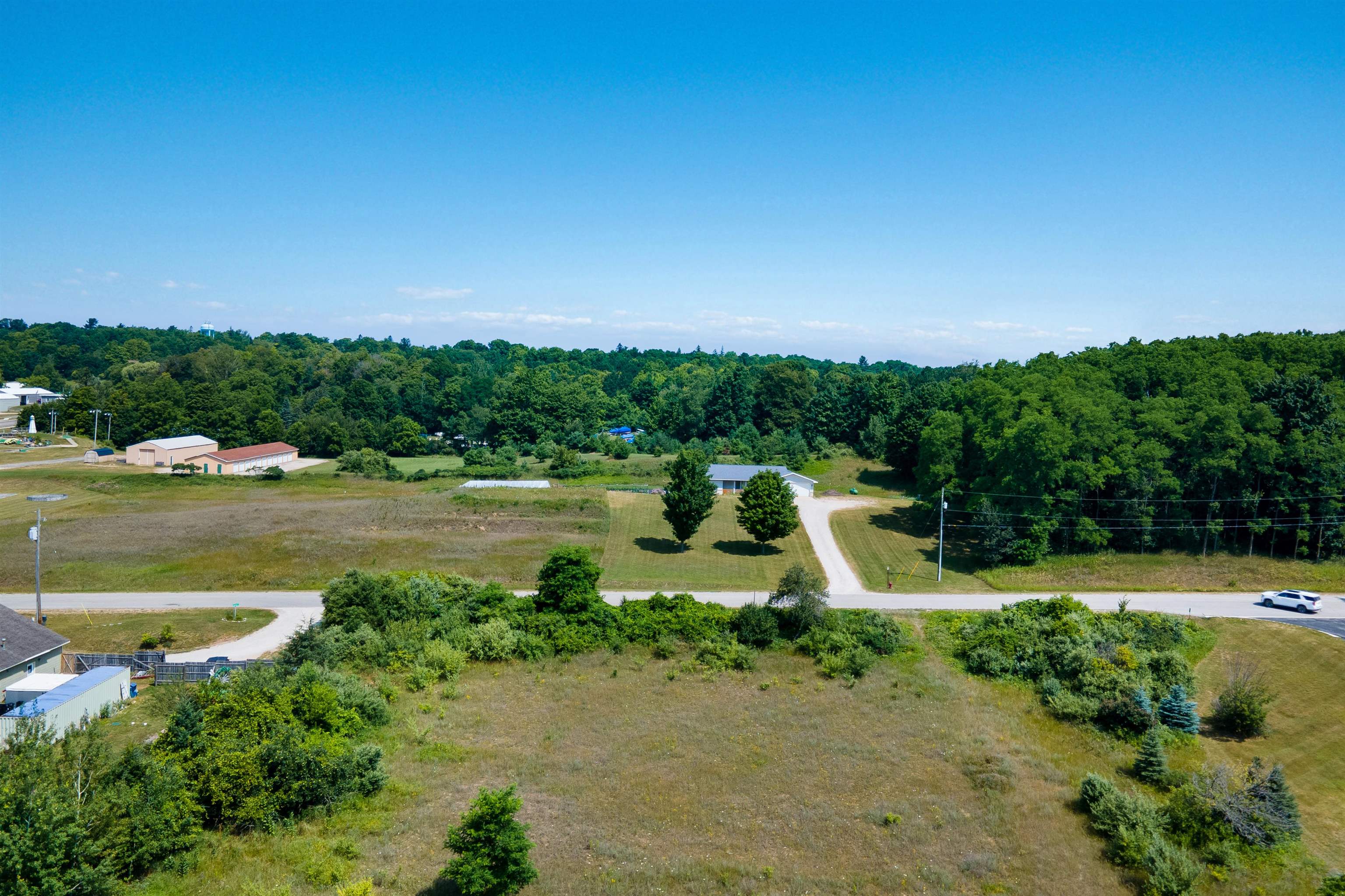 0 Love Road, Unit 0SOUTH STREET Benzonia, MI 49616 - Photo 9 of 20