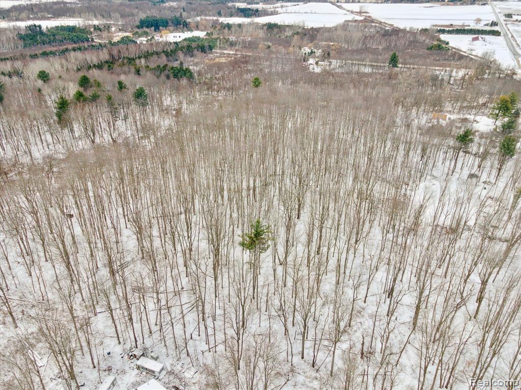 0 French Line Road Sandusky, MI 48471 - Photo 20 of 25