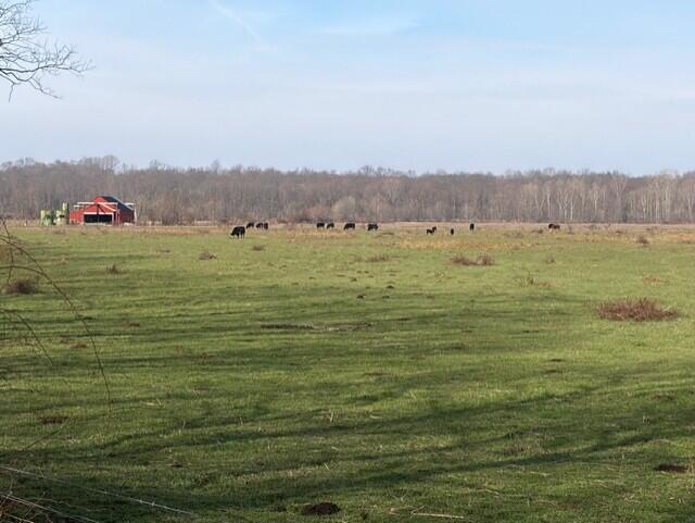 540 Flag Dale Road South Junction City, OH 43748 - Photo 36 of 48 Fenced pasture