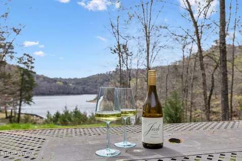 $1,499,999 | 514 Bluff View Road, New Tazewell, TN 37825