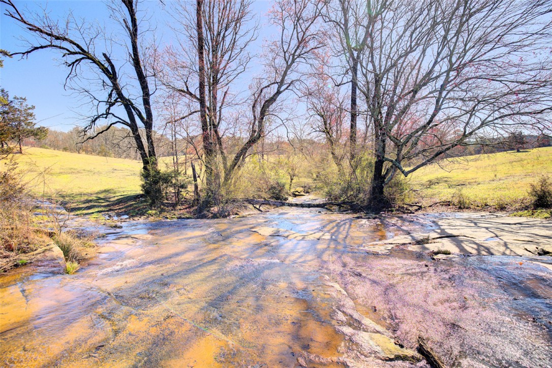 665 Brc Drive West Union, SC 29696 - Photo 11 of 42