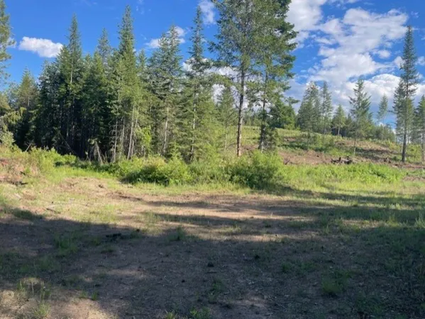 $195,000 | Nkn Bead Lake Road, Oldtown, ID 83822