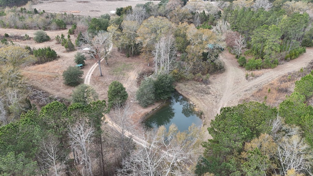13962 Highway 95 Abbeville, AL 36310 - Photo 26 of 27