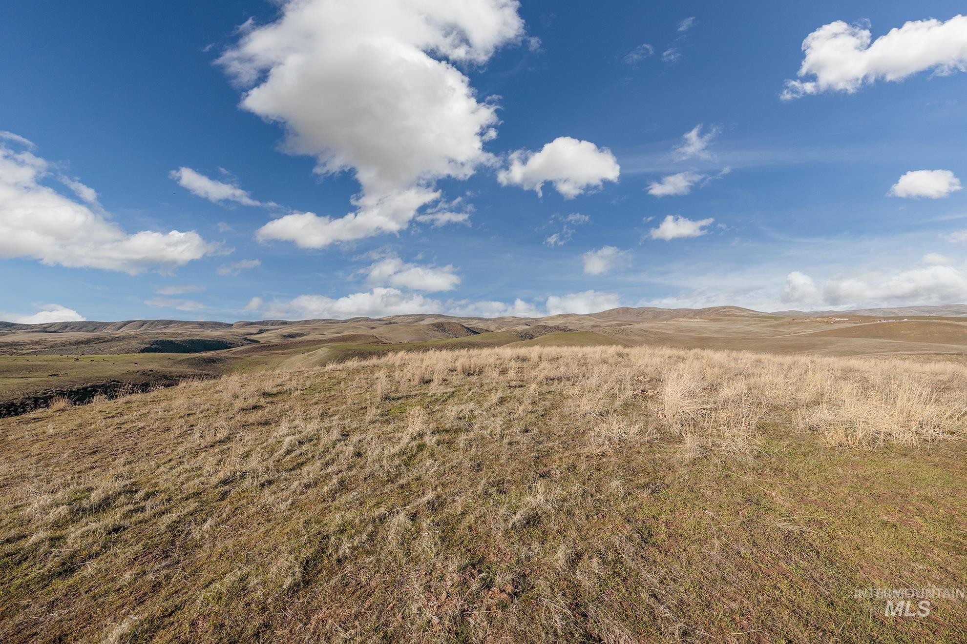 985 Highway 95 Weiser, ID 83672 - Photo 39 of 40
