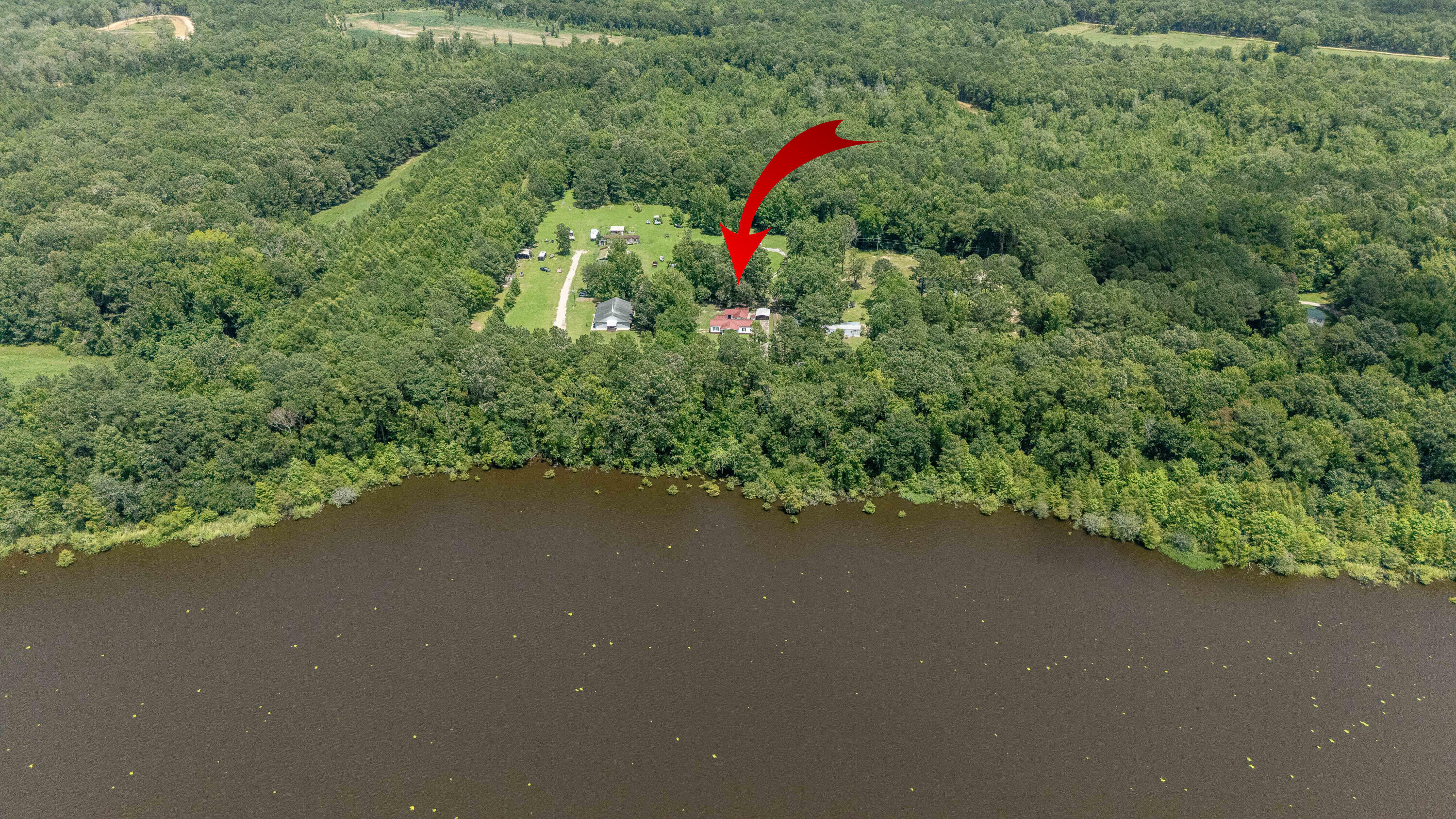 4341 Nelson's Ferry Road Summerton, SC 29148 - Photo 25 of 26 DJI_20250616141809_0018_D