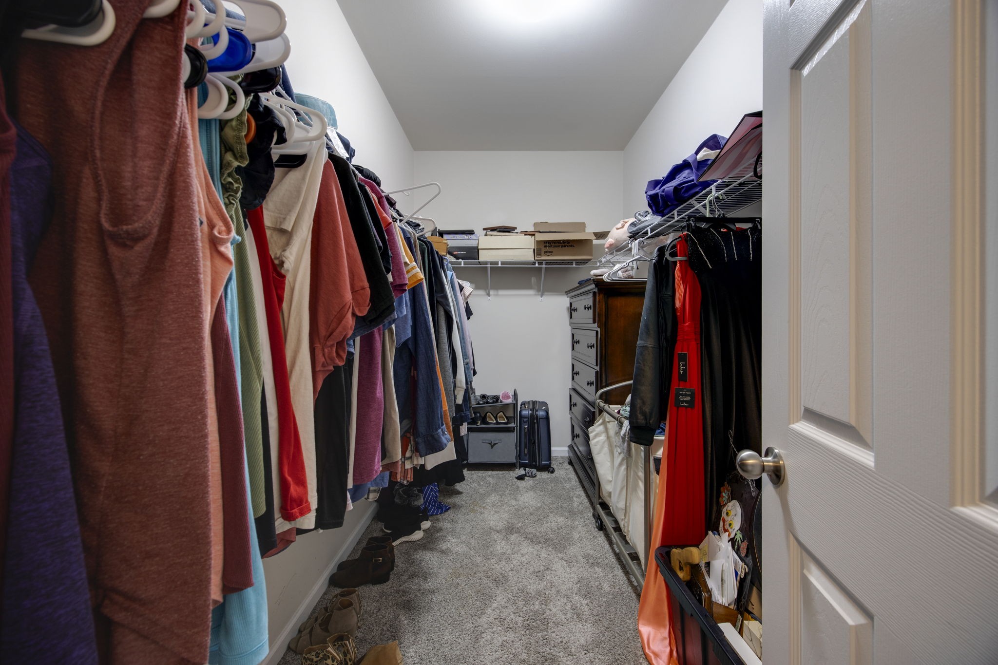 1014 Lacebark Lane Hendersonville, TN 37075 - Photo 31 of 69 a view of walk in closet with clothes