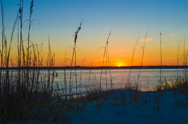 a view of a big room with a yard