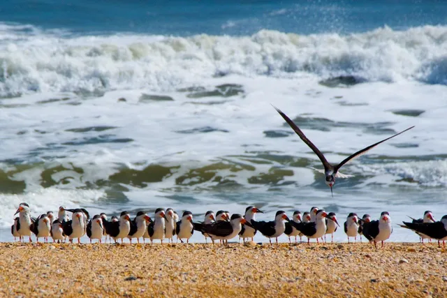 a view of building with cars parked across