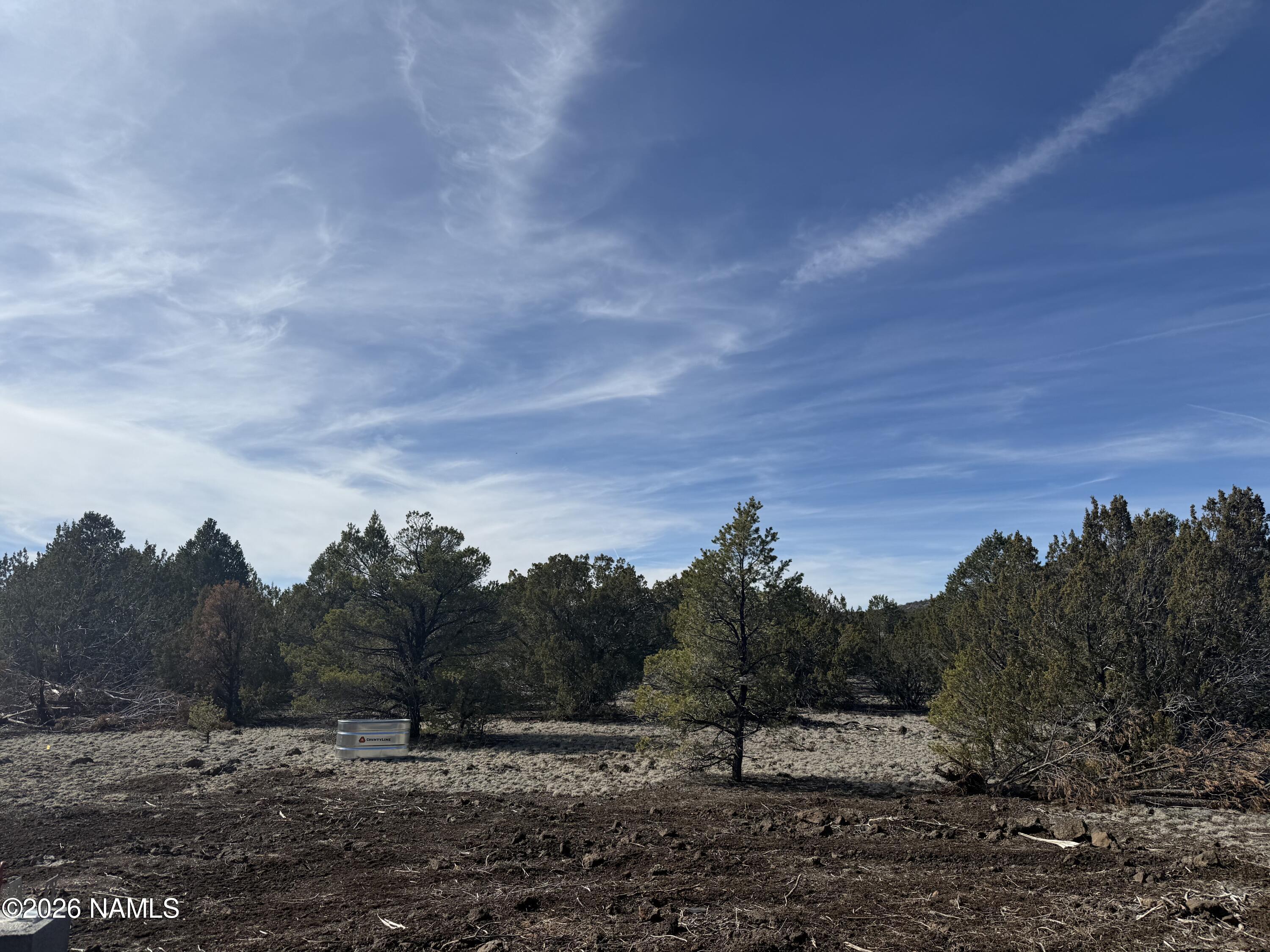 5892 North Santa Fe Road Williams, AZ 86046 - Photo 12 of 33 a view of a dry yard with trees in the background