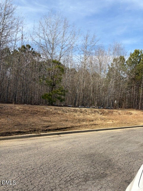 206 Hope Street Erwin, NC 28339 - Photo 7 of 10